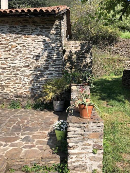 Maison Rurale Au Coeur Des Cevennes Ardechoises Dompnac Eksteriør bilde
