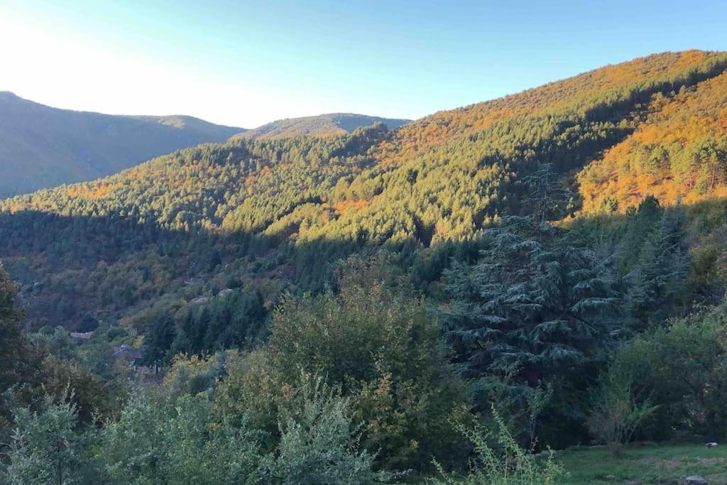 Maison Rurale Au Coeur Des Cevennes Ardechoises Dompnac Eksteriør bilde